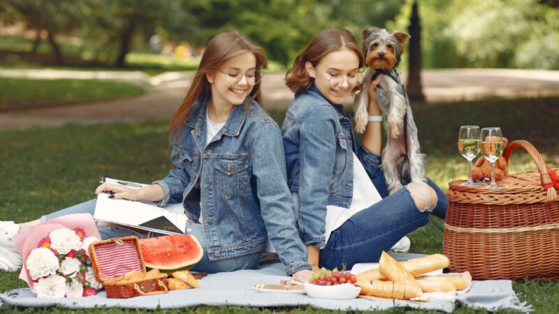 Zaproszenie na piknik dla dzieci w Parku im. Ireny Kwinto w Lidzbarku Warmińskim