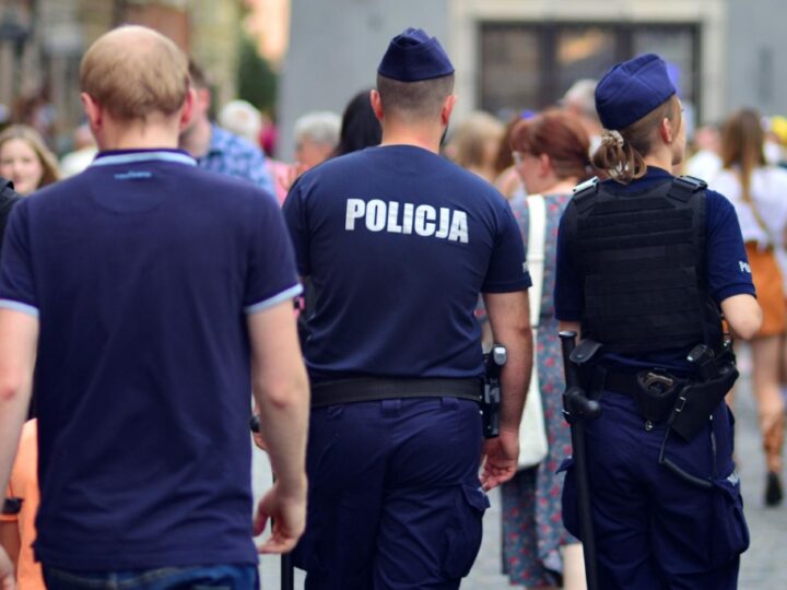 Zagubiony pies znaleziony przez policjantów z Ornety. Czy jesteś jego właścicielem?