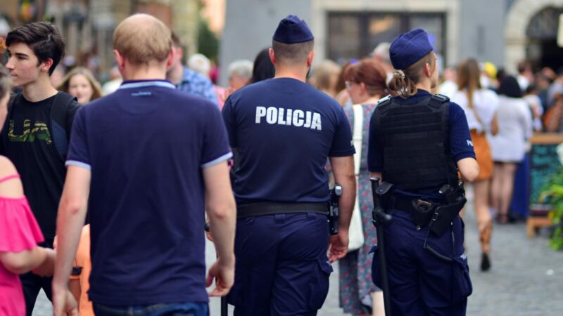 Zagubiony pies znaleziony przez policjantów z Ornety. Czy jesteś jego właścicielem?