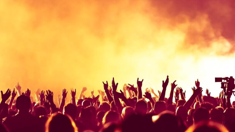 Kulinarny konkurs podczas IX Festiwalu Ziół w Zielarskiej Wsi Blanki!